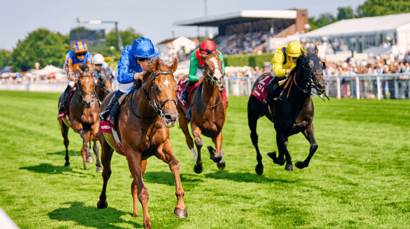 How Horse Racing Contributes to the Economy