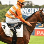 How Horse Racing Contributes to the Horse Industry