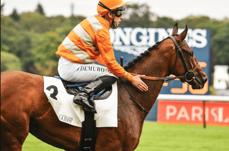 How Horse Racing Contributes to the Horse Industry