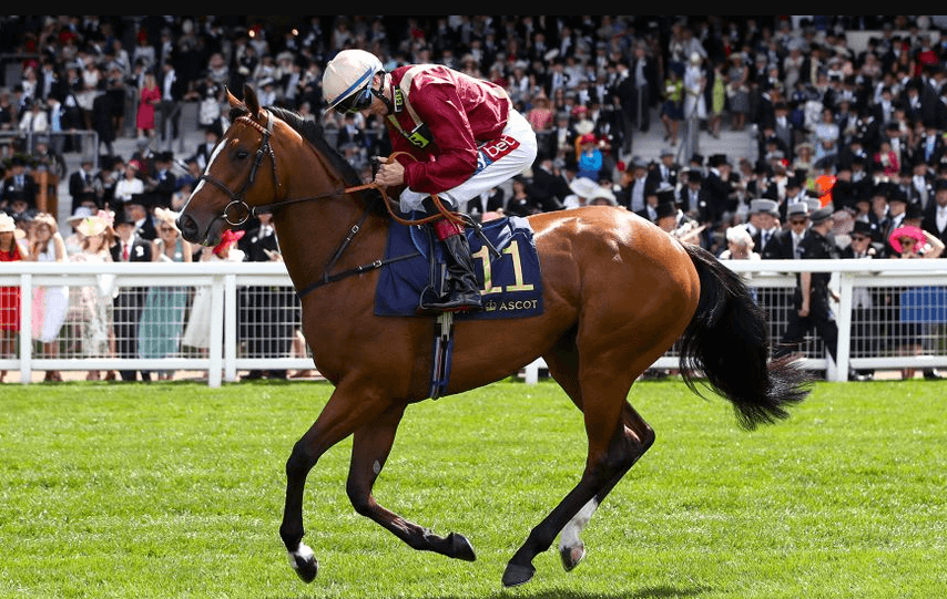 How Horse Racing Has Changed Over the Years