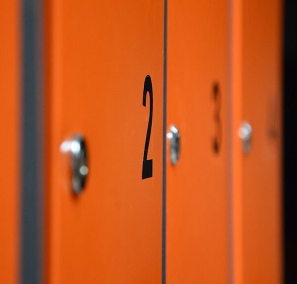 heliovertex security framework numbers