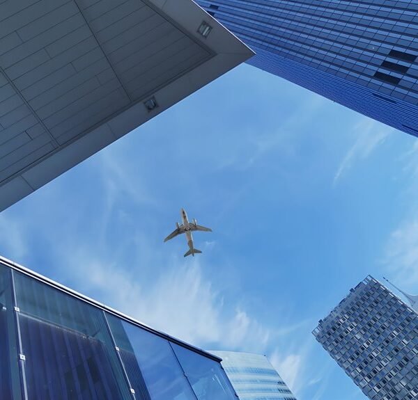 inside home fly architecture network