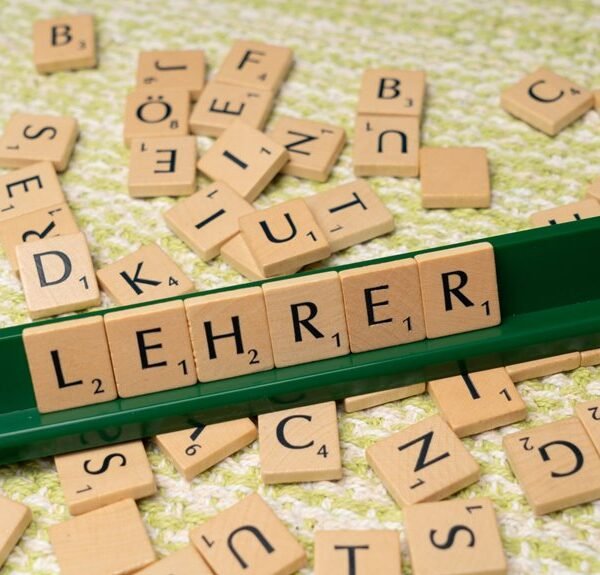 lalimkamarag vixiszinlass training answer unclear proper nouns training context
